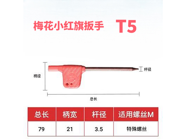 ÷��С������� T5